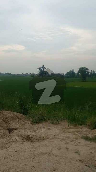 بیدیاں روڈ لاہور میں 24 کنال رہائشی پلاٹ 5.28 کروڑ میں برائے فروخت۔