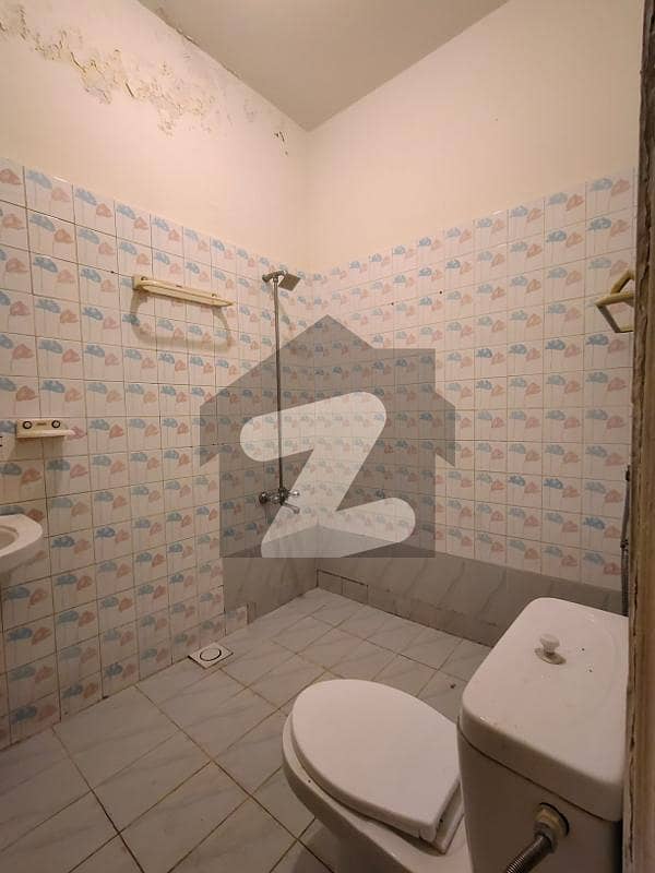 20 