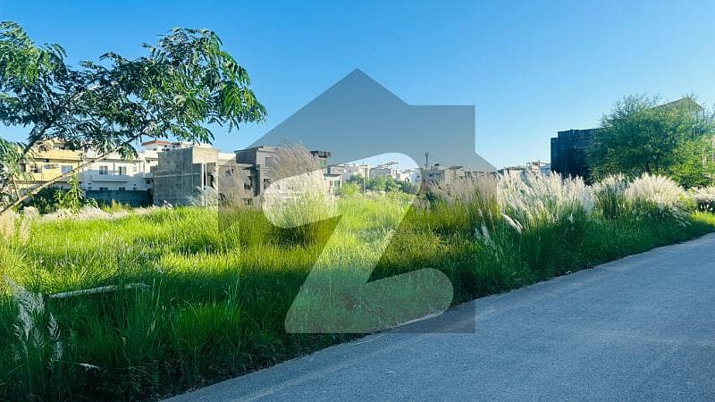 PROPER CORNER 500SQYD AT REASONABLE PRICE