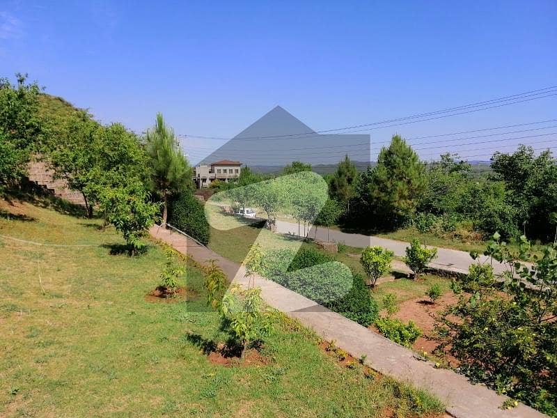 Buy A 5 Kanal Plot File For Sale In Naval Farms Housing Scheme Naval