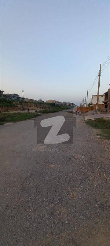 Investor Rate Plot For Sale