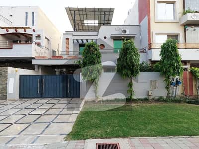 طارق