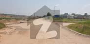 26 
