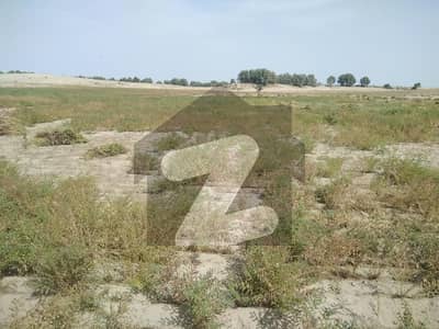 150 Kanal Agriculture Land For Sale In Moza Jhakar Tehsil Chobara 150 Kanal Agriculture Land For Sale In Moza Jhakar Tehsil Chobara