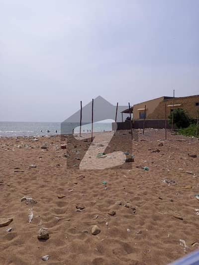 Beach Front Hawks Bay For. Making Beach Hut.