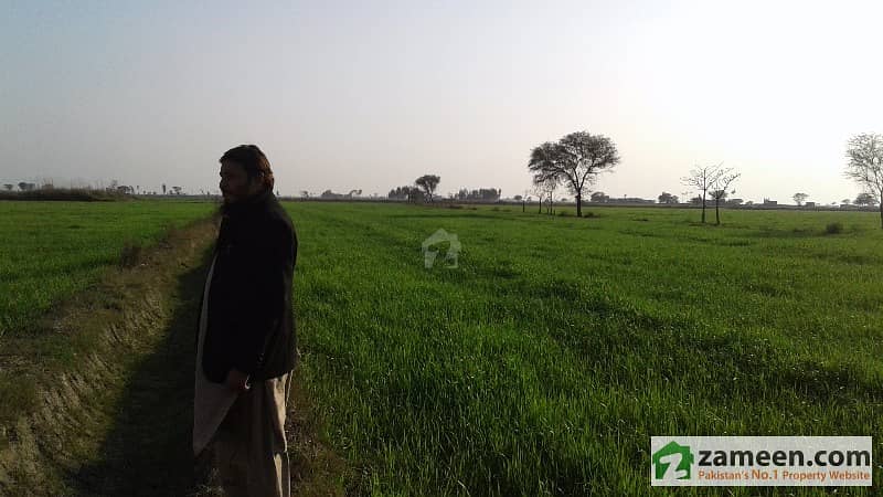 72 Acr Land Agriculture Land In Haler Ke Pemar