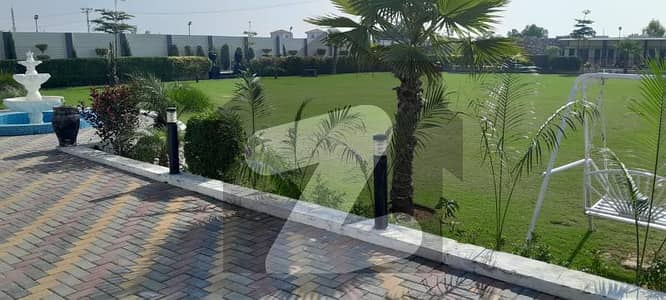 برکی