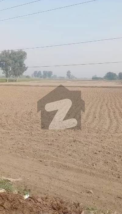 فیروزپور روڈ لاہور میں 80 کنال زرعی زمین 17.6 کروڑ میں برائے فروخت۔