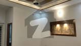 24 