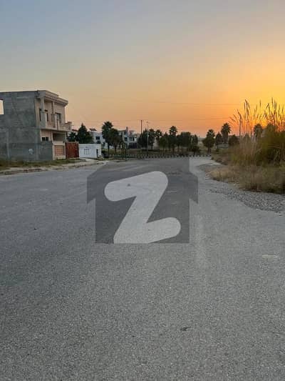 نیو