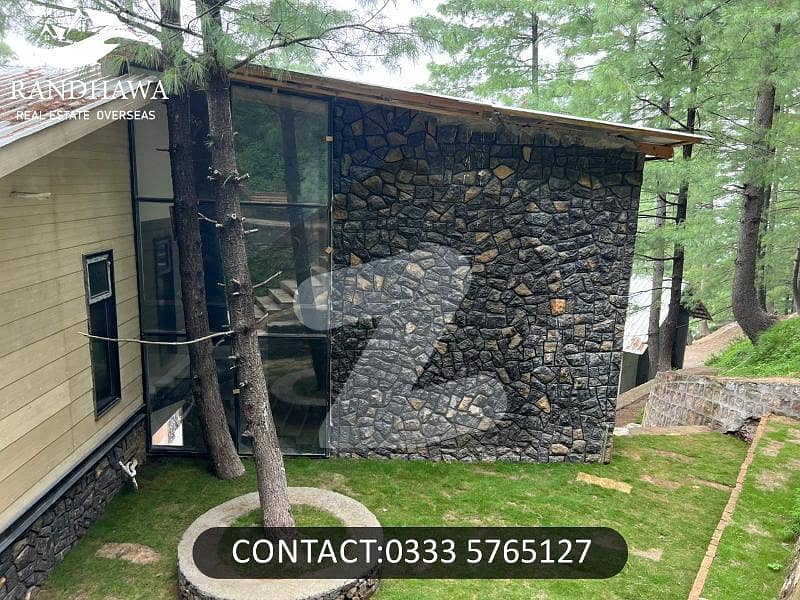 Spacious House Is Available In Patriata For Sale Spacious House Is Available In Patriata For Sale