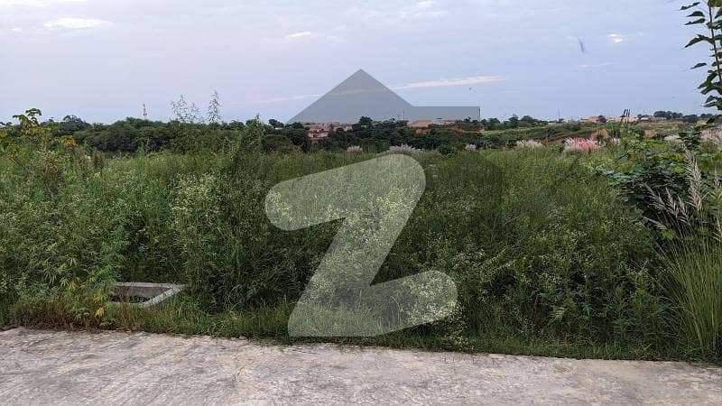 Commercial Plot Available for Sale in Zamar Valley Commercial Plot Available for Sale in Zamar Valley