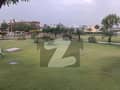 41 