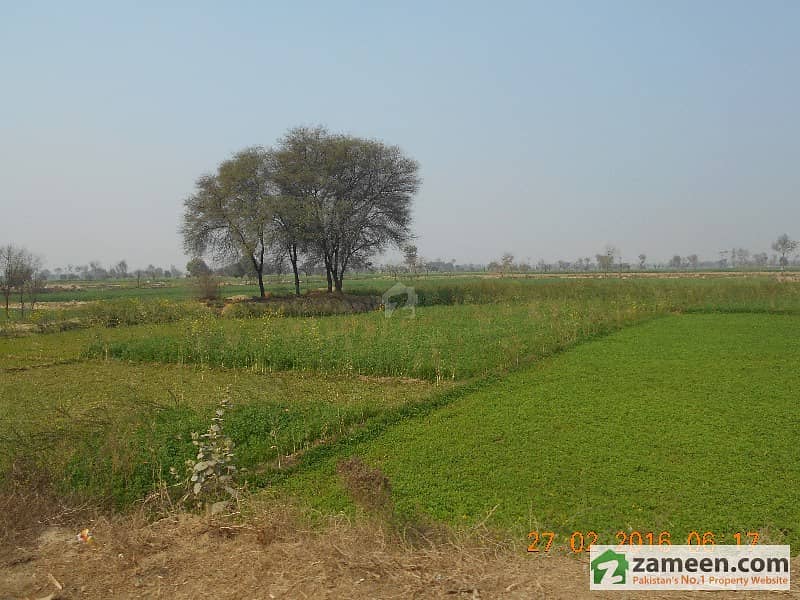 Agricultural Land For Sale - This Is Very Beautiful Land Area