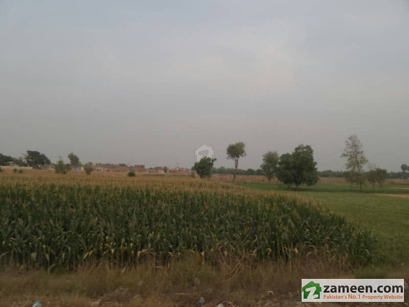 Commercial Plot For Sale At Prime Location