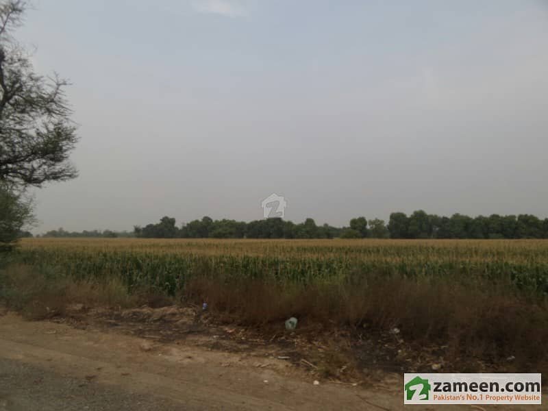 Agricultural Land For Sale - This Is Very Beautiful Land Area