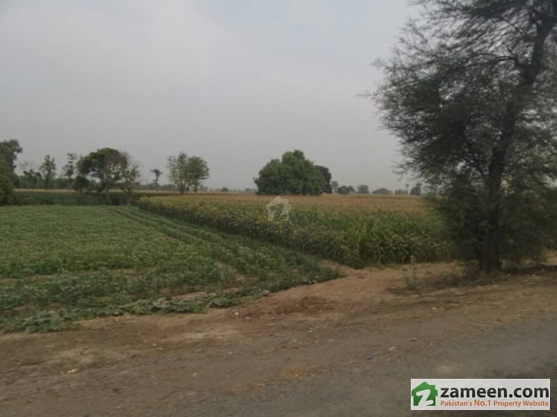 Agricultural Land Is Available For Rent Faisalabad Road, Okara