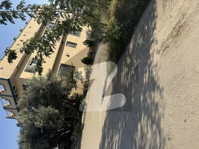 جناح