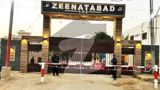 زینت