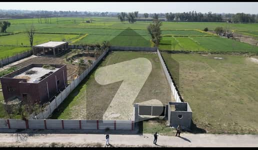 Farm
