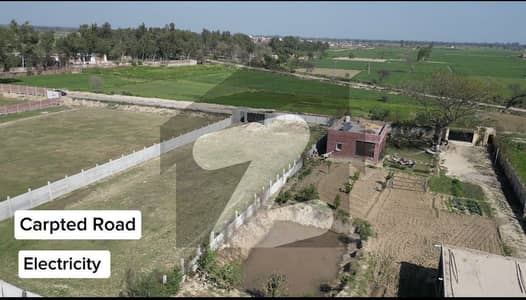 بیدیاں