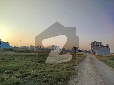 روفی