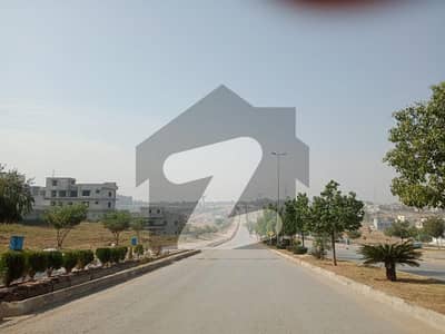ڈی