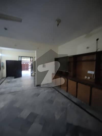 8 Marla Single Storey House For Rent