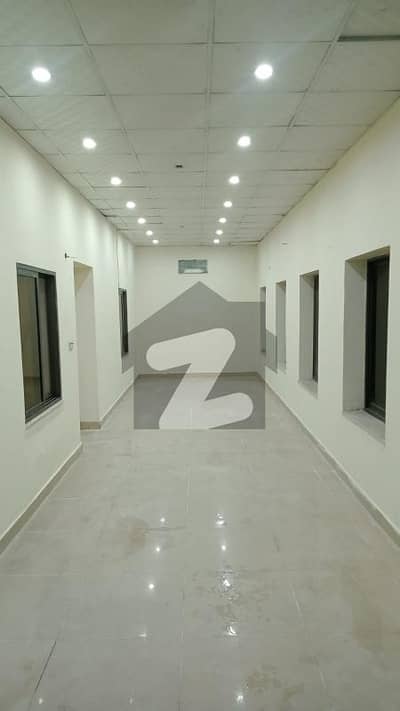 گلبرگ