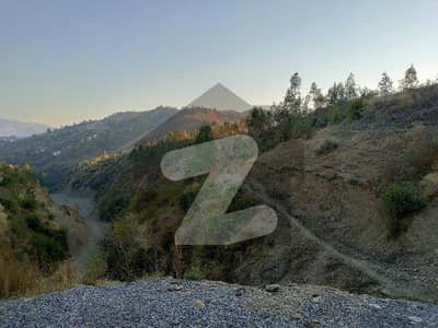 سِلک ویلی شملہ پہاڑی,ایبٹ آباد میں 10 مرلہ رہائشی پلاٹ 62.0 لاکھ میں برائے فروخت۔