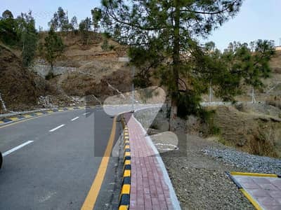سِلک ویلی شملہ پہاڑی,ایبٹ آباد میں 10 مرلہ رہائشی پلاٹ 68.0 لاکھ میں برائے فروخت۔