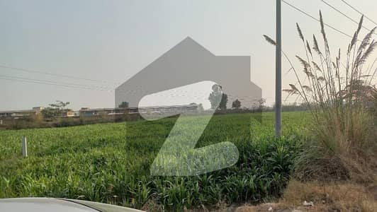 42 Marla Commercial Plot For Sale On Main Suay Asal Road, Lahore