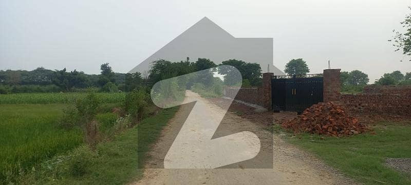 Fertile 08 Acre Agricultural Land Available On Bedian Road Fertile 08 Acre Agricultural Land Available On Bedian Road