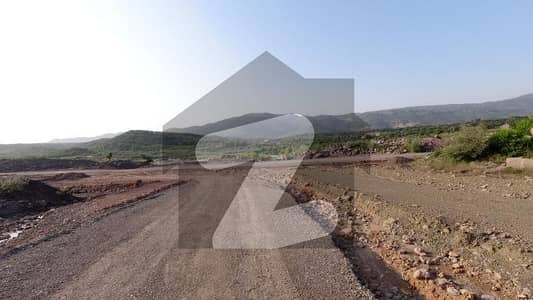 In C-14 20 Marla Residential Plot For sale