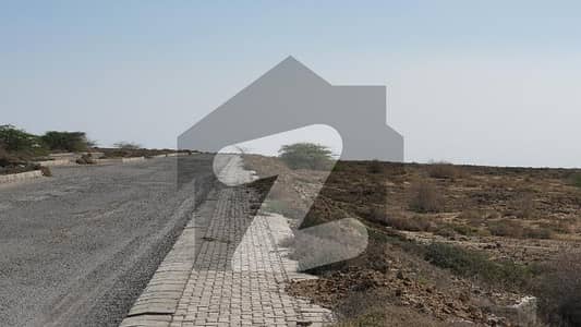 Residential Plot for Sale in Singhar Phase 1, Gwadar