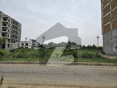 شالیمار