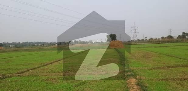 44
