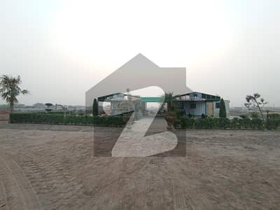 10 Marla Residential Plot Available For Sale In Chenab Orchard Phase 2, City Gujrat