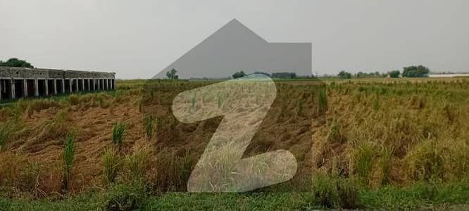52