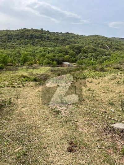 ناول فارمز ہاؤسنگ سکیم اسلام آباد میں 5 کنال پلاٹ فائل 3.0 کروڑ میں برائے فروخت۔ ناول فارمز ہاؤسنگ سکیم اسلام آباد میں 5 کنال پلاٹ فائل 3.0 کروڑ میں برائے فروخت۔