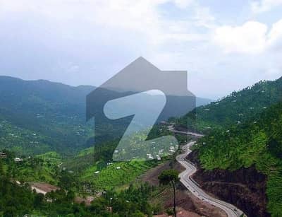 مری سٹی مری میں 2 کنال رہائشی پلاٹ 8.0 کروڑ میں برائے فروخت۔