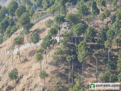 Plot Is Available For Sale Plot Is Available For Sale