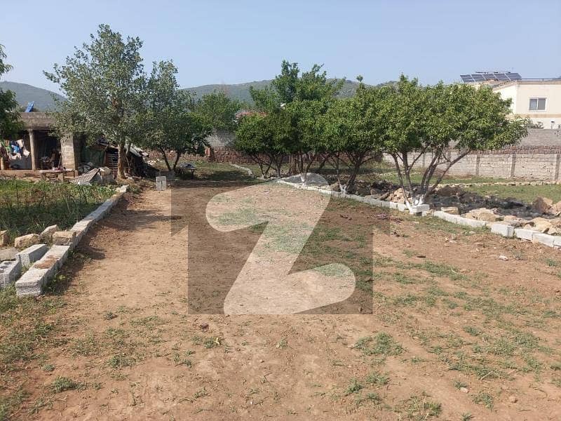 Book Residential Plot Today In Shah Allah Ditta