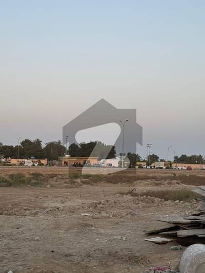 ڈی