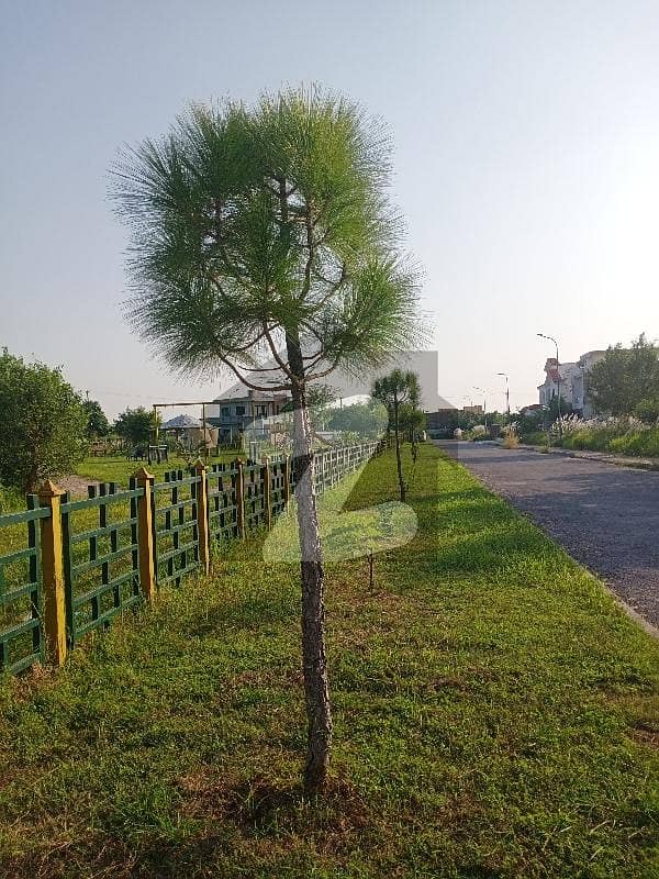 Chakri Road Agriculture Land For Sale Chakri Road Agriculture Land For Sale