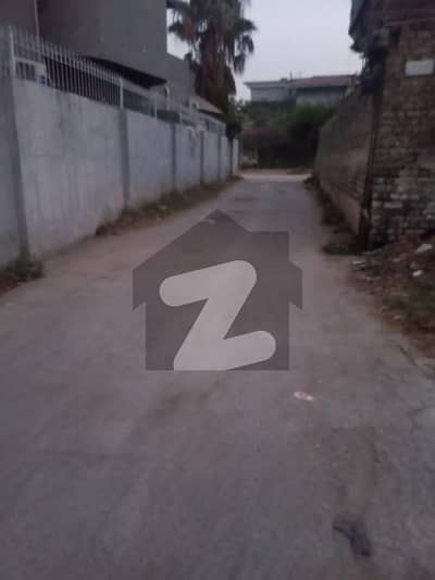 نیو