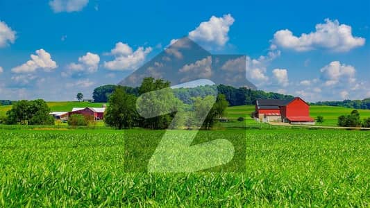 42