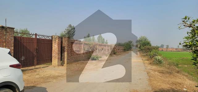 بیدیاں