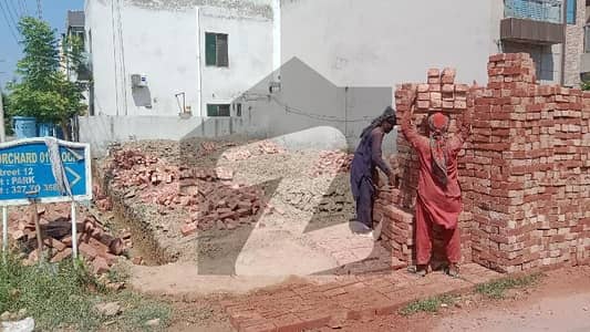 پیراگون