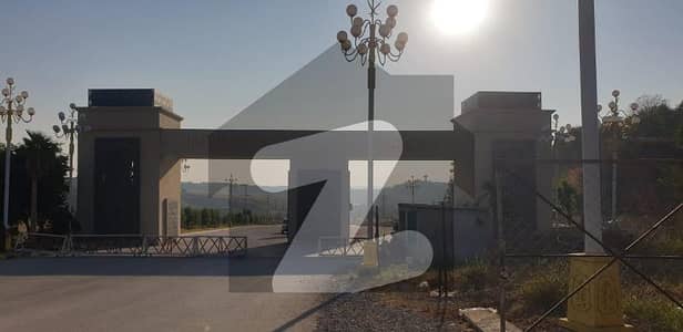 Top Location Plot (D Block)